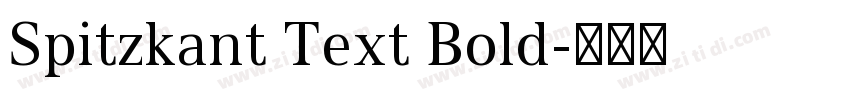 Spitzkant Text Bold字体转换